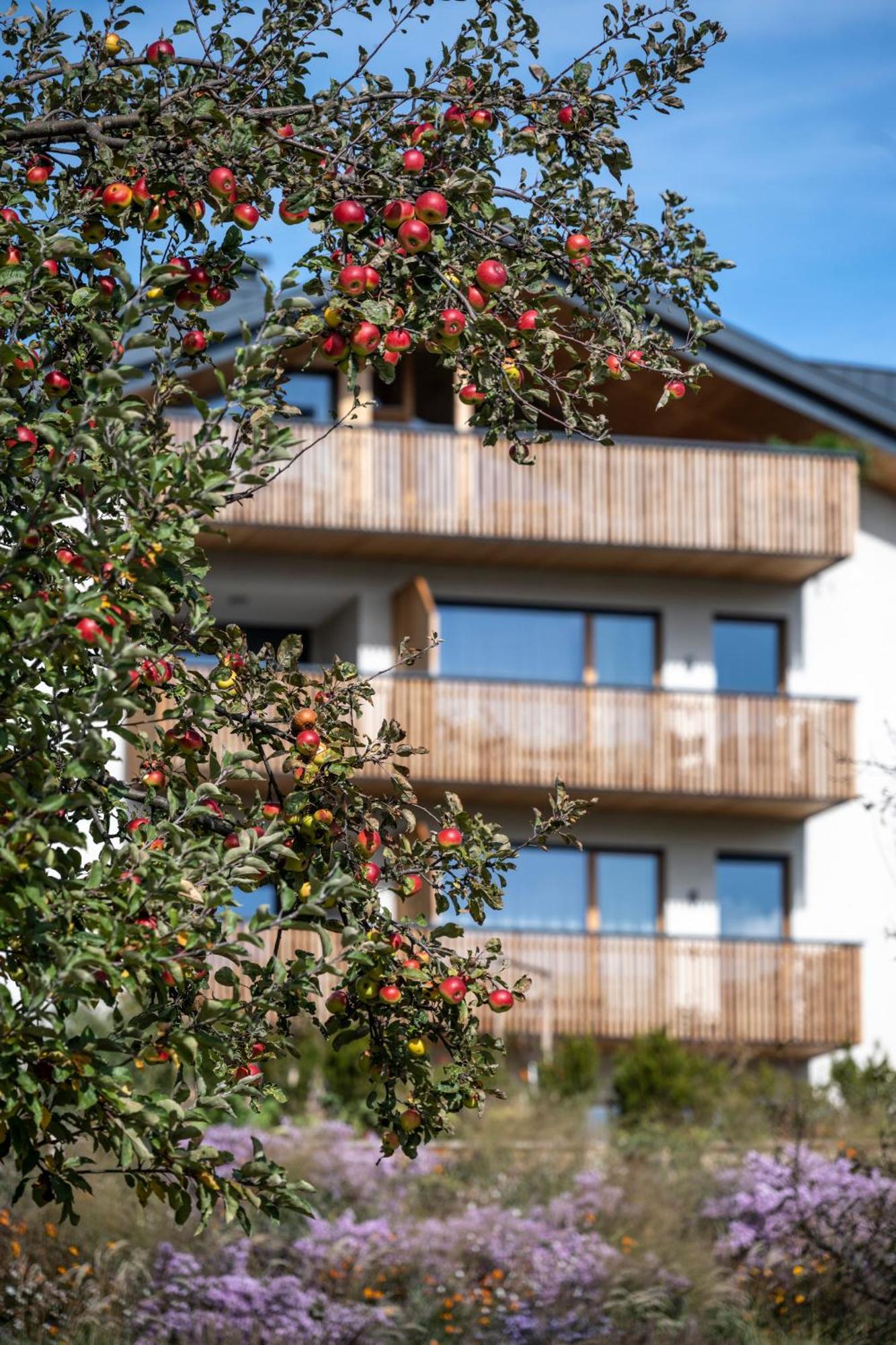 Oberfallerhof Apartment Oi Barbiano (Trentino Alto Adige) Exterior foto